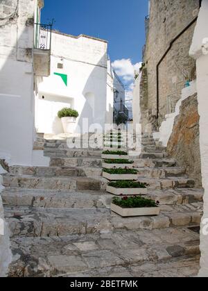 Enge Straßen der Stadt Ostuni mit weißen Gebäuden in Apulien Apulien Region, Süditalien Stockfoto