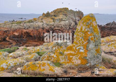 Orange Lichen bedeckte Granitfelsen mit mehrfarbigen Gezeitenküstenfelsen auf der Insel St. Agnes auf den Inseln Scilly, Cornwall. GROSSBRITANNIEN Stockfoto