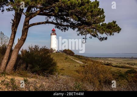 Hiddensee, Deutschland, 10-15-2019, Insel Hiddensee im Vorpommerschen Lagunengebiet/ Leuchtturm am Dornbusch Stockfoto