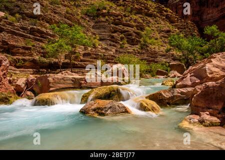 Havasu Creek in der Nähe des Colorado River, Grand Canyon National Park, Arizona, USA Stockfoto