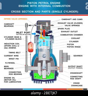 Kolben-Benzinmotor, struktureller Querschnitt in Grundausführung für die Ausbildung Stock Vektor