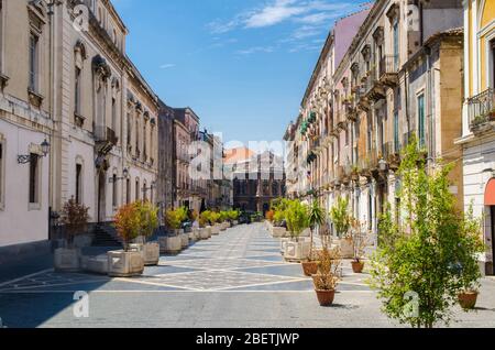 Via Teatro Massimo Straße mit grünen Pflanzen Bäume führt zum Massimo Bellini Opera House in Catania Stadt, Sizilien, Italien Stockfoto