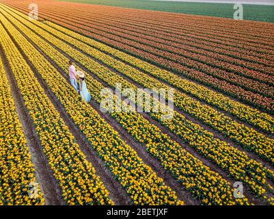 Tulpenblütenfeld während Sonnenuntergang Dämmerung in den Niederlanden Noordoostpolder Europa, glücklich junge Paar Männer und Frau mit Kleid posiert in Blumenfeld in Stockfoto