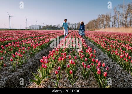 Tulpenblütenfeld während Sonnenuntergang Dämmerung in den Niederlanden Noordoostpolder Europa, glücklich junge Paar Männer und Frau mit Kleid posiert in Blumenfeld in Stockfoto