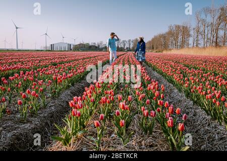 Tulpenblütenfeld während Sonnenuntergang Dämmerung in den Niederlanden Noordoostpolder Europa, glücklich junge Paar Männer und Frau mit Kleid posiert in Blumenfeld in Stockfoto