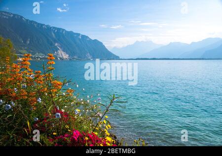 Blick auf die Berge die Alpen und Blumen blühen auf der Uferpromenade des Genfer Sees in Montreux, Schweizer Riviera, Kanton Waadt, Schweiz Stockfoto