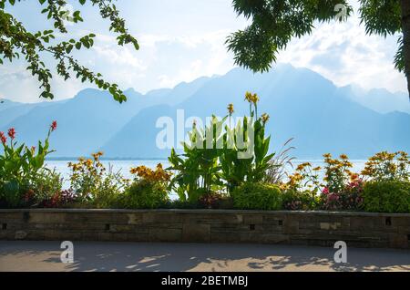 Blick auf die Berge die Alpen und Blumen blühen an der Promenade des Genfer Sees in Montreux, Schweizer Riviera, Kanton Waadt, Schweiz Stockfoto