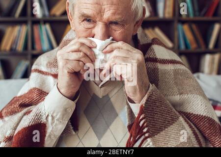 Der ältere Mann allein sitzt in der Bibliothek, bedeckt mit Plaid, der seine Nase aus nächster Nähe bläst Stockfoto