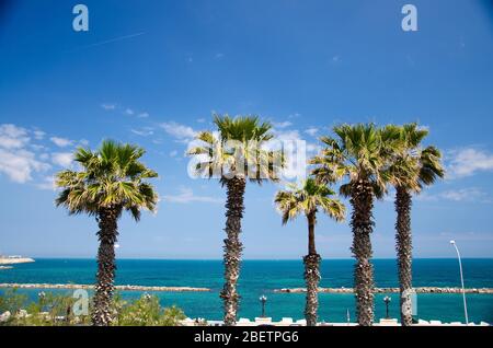 Uferpromenade Imperatore Augusto mit Palmen und Blick auf das Adriatische Meer in der Stadt Bari, Apulien Apulien Region, Süditalien Stockfoto