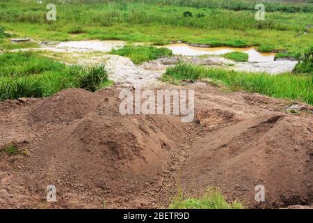 Sandpfähle, mit Teichen und Gräsern in Marschland in Rwamagana, Ruanda, Ostafrika Stockfoto