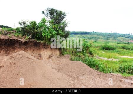 Zwei Sandpfähle im Sumpfgebiet mit Gras und Büschen Stockfoto