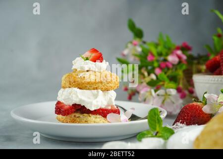 Hausgemachte Erdbeer-Shortcake mit gefüllter Sahne Belag, selektive Fokus Stockfoto