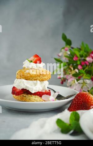 Hausgemachte Erdbeer-Shortcake mit gefüllter Sahne Belag, selektive Fokus Stockfoto