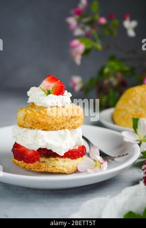 Hausgemachte Erdbeer-Shortcake mit gefüllter Sahne Belag, selektive Fokus Stockfoto