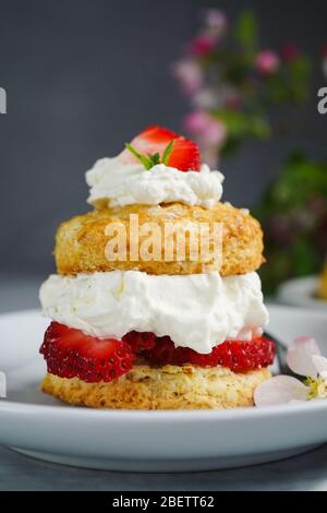 Hausgemachte Erdbeer-Shortcake mit gefüllter Sahne Belag, selektive Fokus Stockfoto