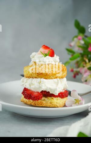 Hausgemachte Erdbeer-Shortcake mit gefüllter Sahne Belag, selektive Fokus Stockfoto