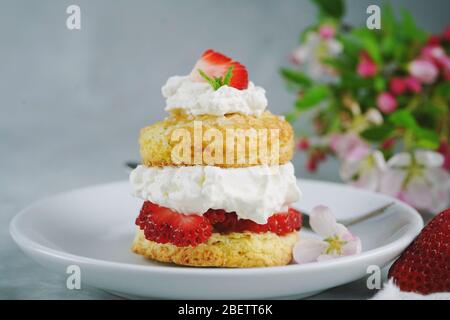 Hausgemachte Erdbeer-Shortcake mit gefüllter Sahne Belag, selektive Fokus Stockfoto