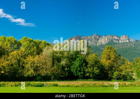 Der Gipfel von Puigsacalm, bei Vall d'en Bas, Garrotxa (Katalonien, Spanien). Stockfoto