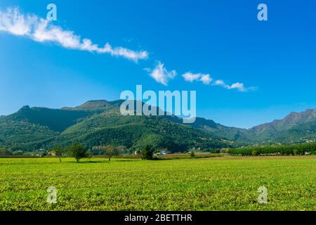 Der Gipfel von Puigsacalm, bei Vall d'en Bas, Garrotxa (Katalonien, Spanien). Stockfoto