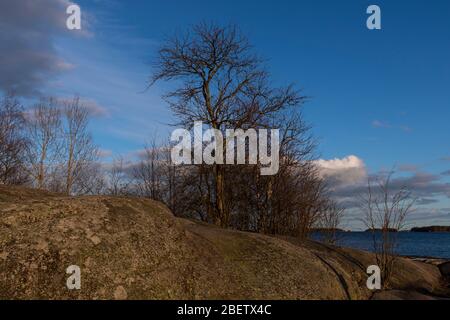 Frühling Sonne am Meer in Espoo ohne Menschen Stockfoto