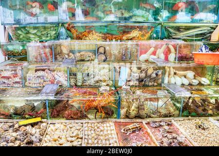Fisch, Hummer, Krabben und andere Weichtiere Meeresfrüchte werden in Aquarien im Seafood Markt in Sai Kung, Hongkong. Sai Kung Village ist bekannt f Stockfoto