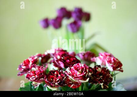 Ein schöner Strauß roter Rosen ein schöner Strauss roter Rosen Stockfoto