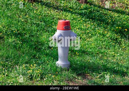 Einzelner silberroter Hydrant mit der Nummer 192 auf einer grünen Frühlingswiese und gelben Blüten, tagsüber Stockfoto