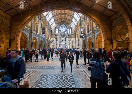 Besucher der Central Hall des Natural History Museum, London. Stockfoto