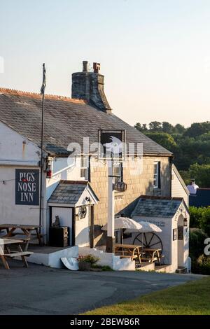 Pigs Nose Inn, East Prawle, Devon, altes freies Haus Stockfoto