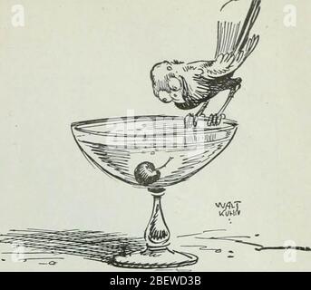 'Karikatur; Witz und Humor einer Nation in Bild, Lied und Geschichte' (1911) Stockfoto