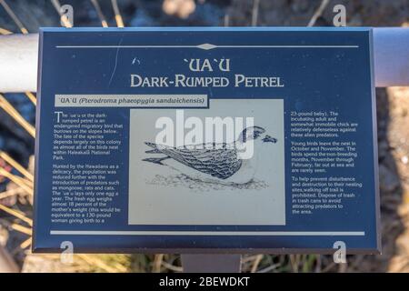 Maui, HI, USA - 24. August 2019: The Dark Rumped Petrel-Schild Stockfoto