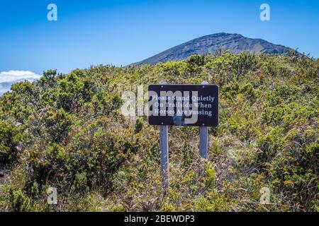 Maui, HI, USA - 24. August 2019: Eine Erinnerung an die Überquerung der Pferde Stockfoto