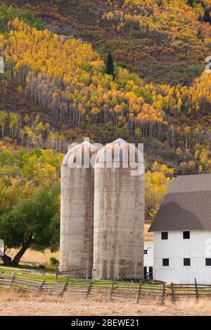 Silos auf der McPolin Farm (Osguthorpe Farm) im Herbst, Park City, Utah Stockfoto