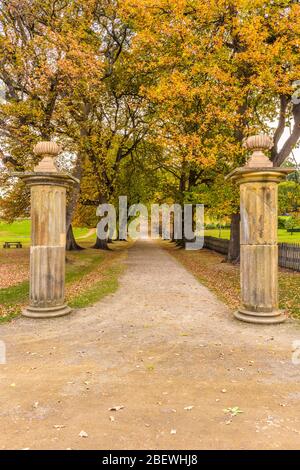 Genießen Sie den Blick auf die von Bäumen gesäumte Straße im Herbst, die durch zwei große Steintaufsäulen in den gepflegten Gärten von Port Arthur führt. Stockfoto