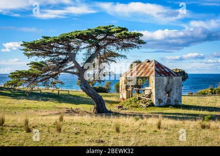 Ein verlassenes, Pionierbauernhaus aus Stein auf einem Hügel am Shelly Point an der Ostküste Tasmaniens. Stockfoto