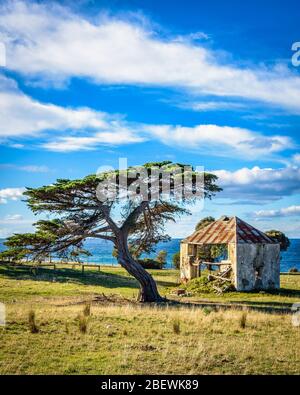 Ein verlassenes, Pionierbauernhaus aus Stein auf einem Hügel am Shelly Point an der Ostküste Tasmaniens. Stockfoto