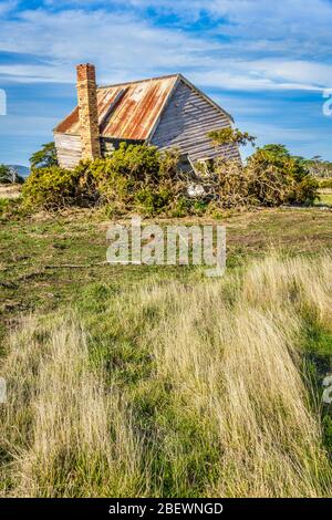 Ein verlassenes, Pionierbauernhaus auf einem Hügel am Tamar River in Tasmanien. Stockfoto