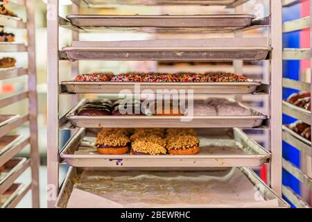 Frisch gemachte Donuts Auswahl an Bäcker Rollblech Pan Rack bereit, auf dem Display in einem beliebten Spezialität Donut-Kette Shop, selektive Fokus gestellt werden Stockfoto