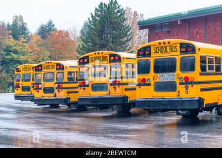 Reihe von Schulbussen ausgerichtet und geparkt. Stockfoto