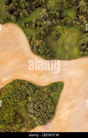 Luftaufnahme auf gepflügtem Feld mit Waldflächen. Frisch gepflügten Sandboden Feld in Weißrussland, Europa Stockfoto