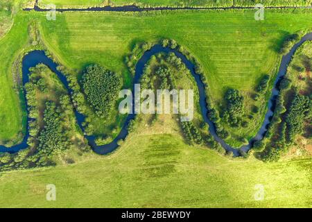 Luftaufnahme von gewundenen Fluss in ländlicher Landschaft. Kleiner Fluss, der sich in einem grünen Grasfeld windet Stockfoto