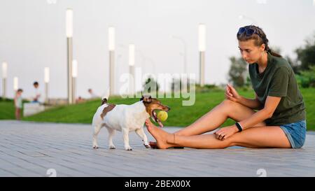 Attraktives Mädchen geht den Hund. Jack Russell Terrier. Spaß beim Spielen im Freien. Verspielte Stimmung. Freiheit genießen. Freunde zusammen. Freundschaftskonzepte, Haustiere, miteinander Stockfoto