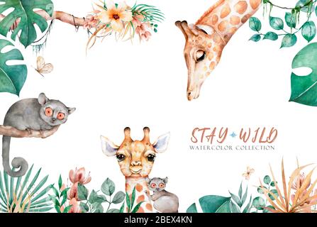 Hand gezeichnet Aquarell Illustration von niedlichen Giraffe und tropischen Blätter horizontalen Banner Hintergrund. Dschungelrahmen Stockfoto