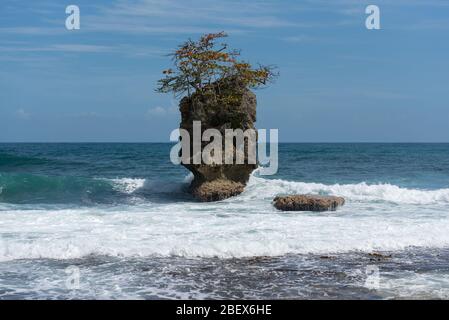 Felsige Insel mit Baum in Manzanillo Küste, Costa Rica Stockfoto