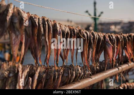 Fischerdorf Landschaft. Frischer Fisch Markt am Hafen in Korea 050 Stockfoto