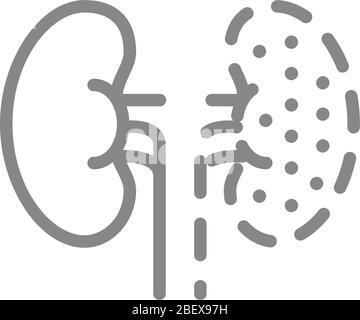 Symbol für die Amputationslinie der Nieren. Nephrektomie, ein Nierensymbol Stock Vektor