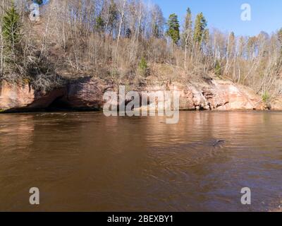 Bezaubernde Quelllandschaft mit Sandsteinfelsen am Flussufer, schnell fließendem und klarem Flusswasser, Kuku-Klippen, Gauja-Fluss, Lettland Stockfoto