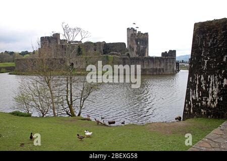 Caerphilly Castle und Graben Wales Stockfoto