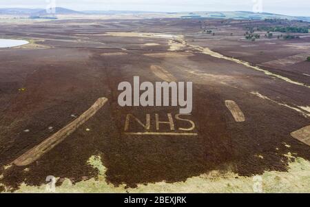 Greenlaw, Schottland, Großbritannien. 16. April 2020. Die Wildhüter haben die Buchstaben NHS in Heidekraut auf einem Hügel am Greenlaw Moor in Solidarität mit NHS-Arbeitern geformt, die an der Vergangenheit vorbeifahren. Sie nahmen sich im Rahmen der saisonalen Brandschutzmaßnahmen Zeit, Heideflächen zu mähen und zu mähen, um ihre Unterstützungsbotschaft zu mähen. Iain Masterton/Alamy Live News Stockfoto