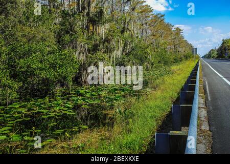 Straße durch Everglades National Park, Florida, USA. Stockfoto